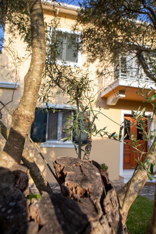 Vk Villas Apolpaina المظهر الخارجي الصورة